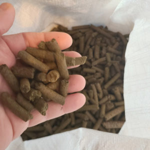 Handful of canine treats from hemp